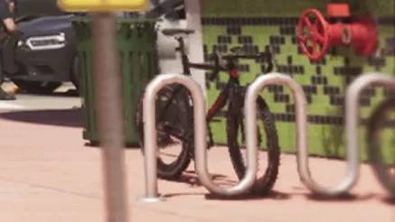 PED Cycles Scorcher